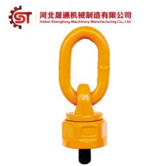 G80 Multi-Directional Using Lifting Swivel